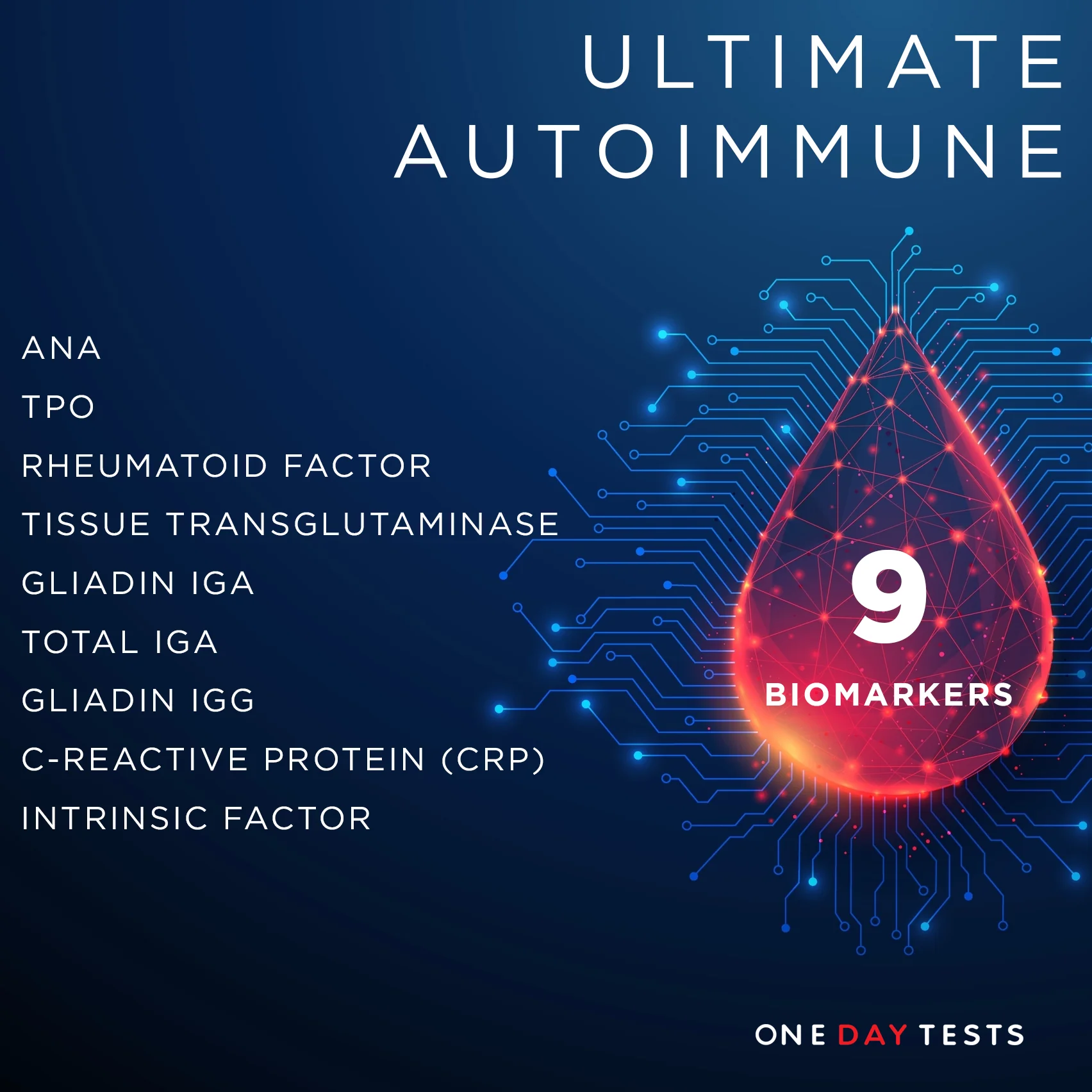 Blood Tests for Men